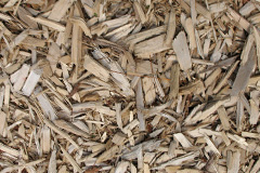 biomass boilers Nappa